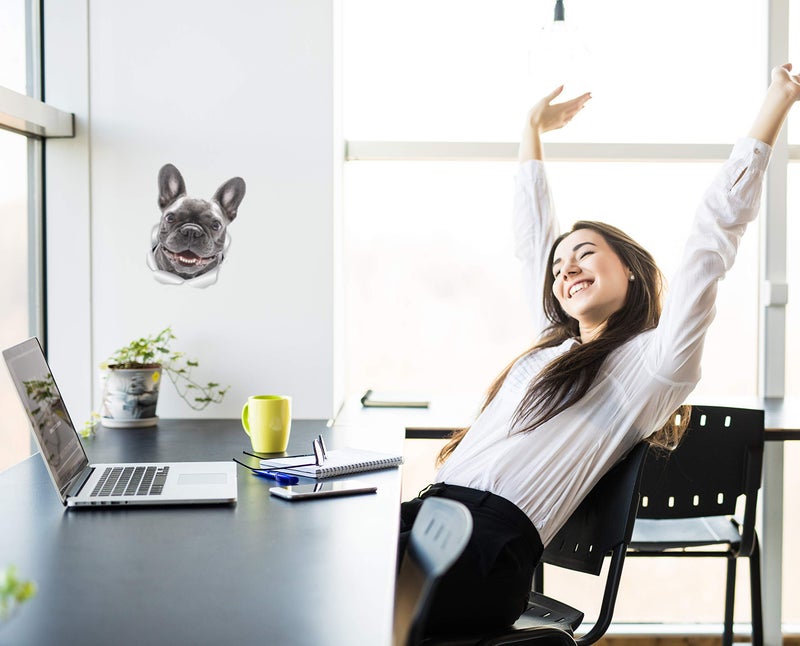 Winston Bear Winston & Bear Smiling Frenchie Dog Wall Decals - 2 Pack - French Bulldog 3D Sticker Decals for Walls, Cars, Toilet and More - Retail Packaged French Bulldog Gifts - Image 3